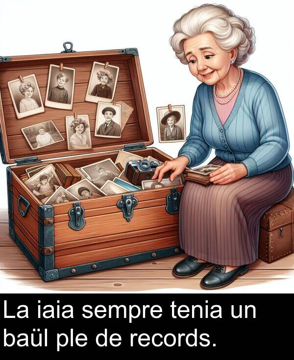 tenia: La iaia sempre tenia un baül ple de records.