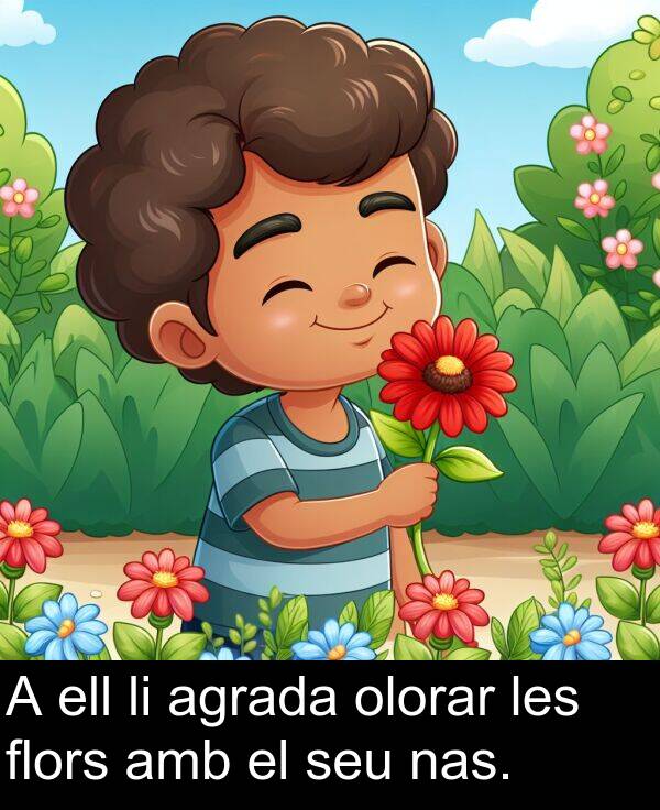 olorar: A ell li agrada olorar les flors amb el seu nas.