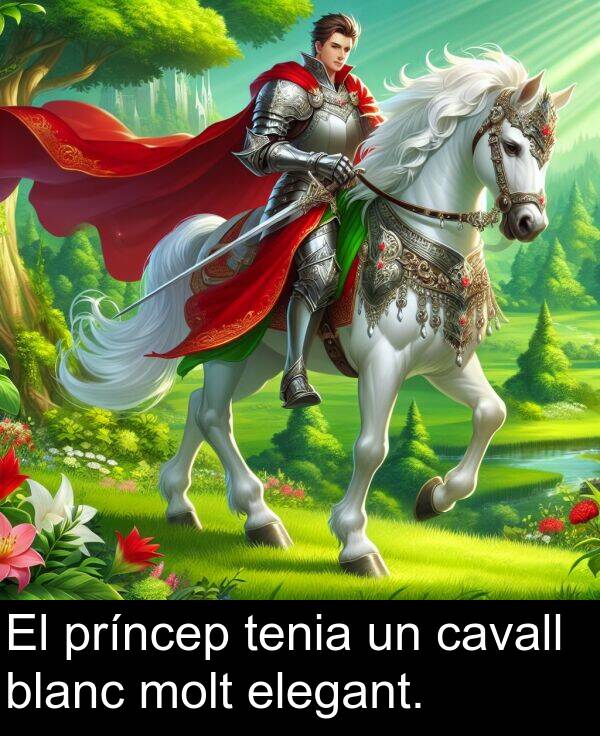 tenia: El príncep tenia un cavall blanc molt elegant.