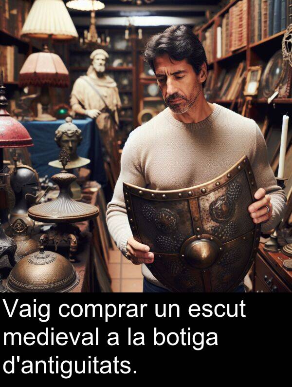 botiga: Vaig comprar un escut medieval a la botiga d'antiguitats.