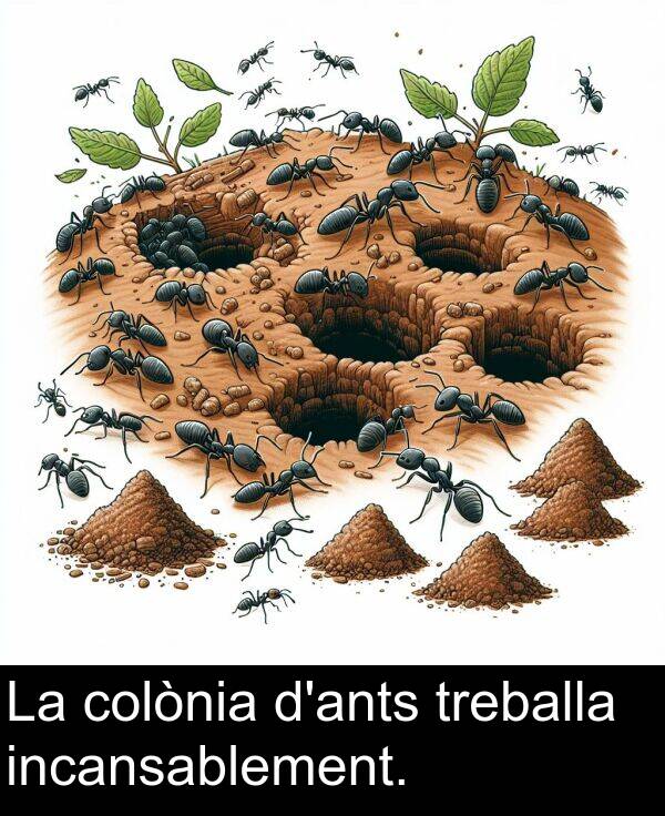 treballa: La colònia d'ants treballa incansablement.