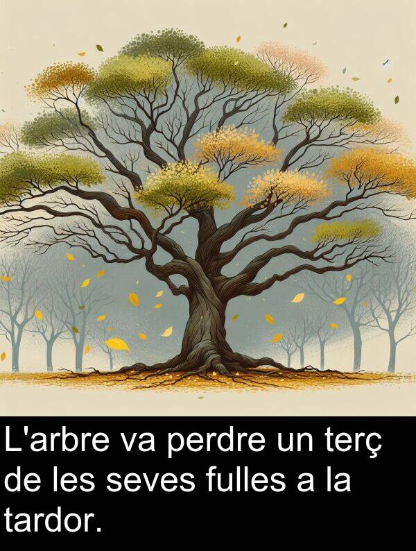tardor: L'arbre va perdre un terç de les seves fulles a la tardor.