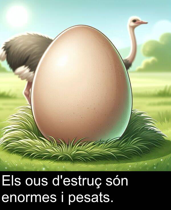 enormes: Els ous d'estruç són enormes i pesats.