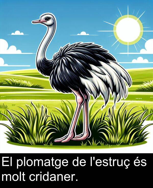 cridaner: El plomatge de l'estruç és molt cridaner.