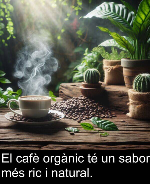 més: El cafè orgànic té un sabor més ric i natural.