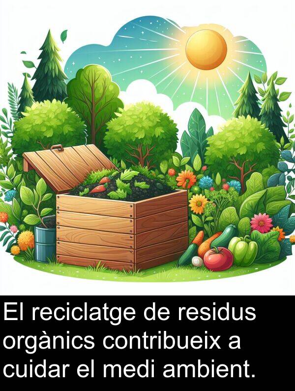 contribueix: El reciclatge de residus orgànics contribueix a cuidar el medi ambient.