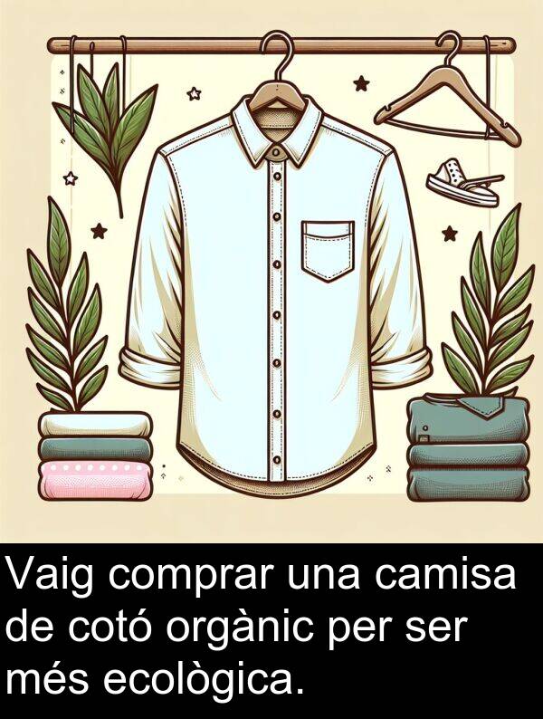 cotó: Vaig comprar una camisa de cotó orgànic per ser més ecològica.
