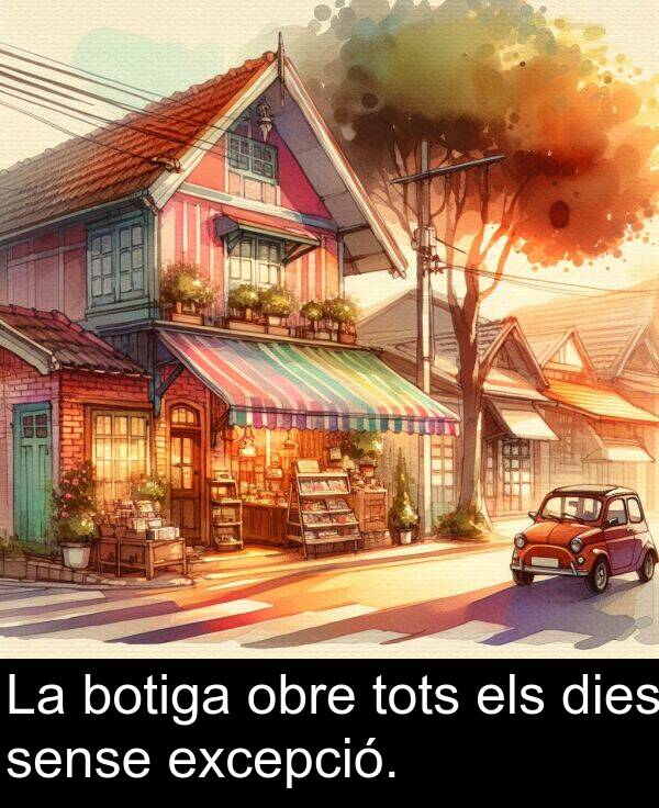 els: La botiga obre tots els dies sense excepció.