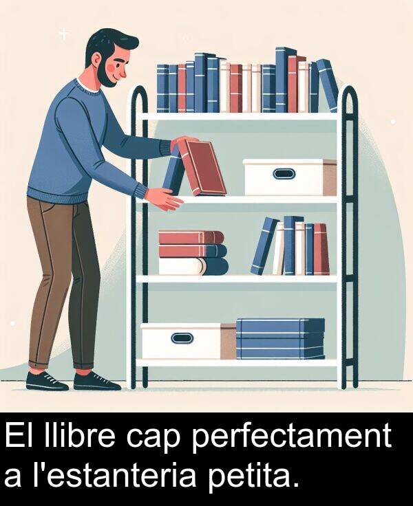 llibre: El llibre cap perfectament a l'estanteria petita.