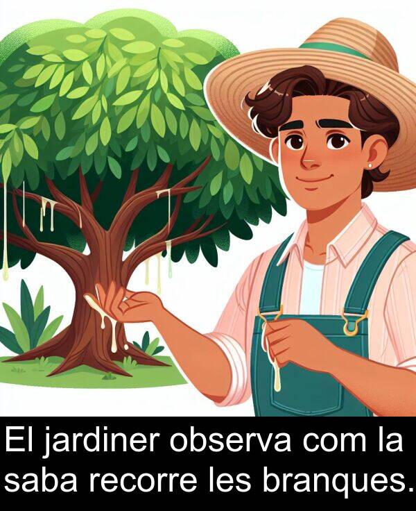 jardiner: El jardiner observa com la saba recorre les branques.