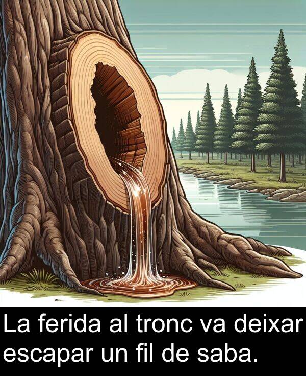 fil: La ferida al tronc va deixar escapar un fil de saba.