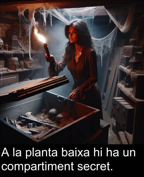 planta: A la planta baixa hi ha un compartiment secret.