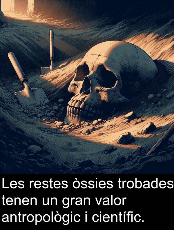 òssies: Les restes òssies trobades tenen un gran valor antropològic i científic.