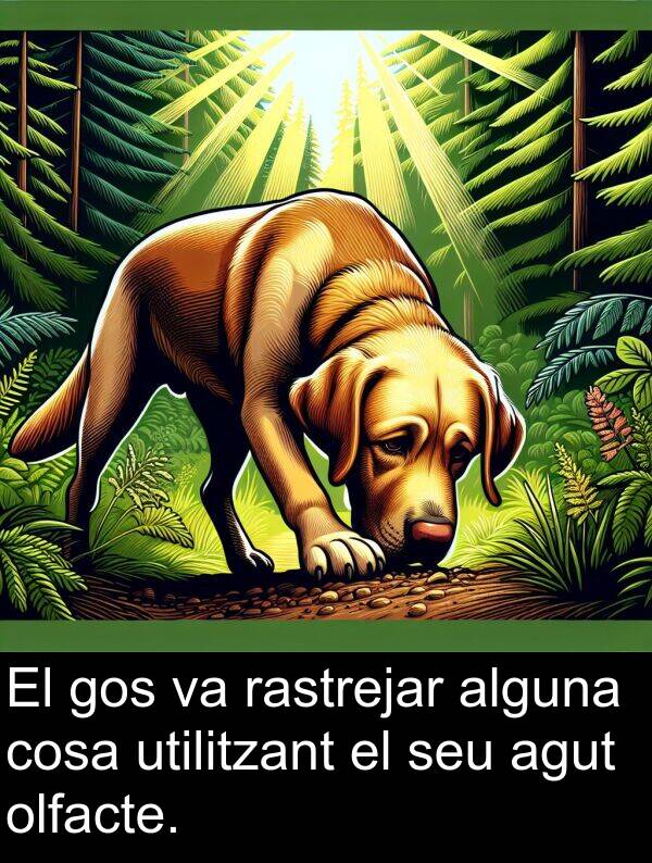 cosa: El gos va rastrejar alguna cosa utilitzant el seu agut olfacte.