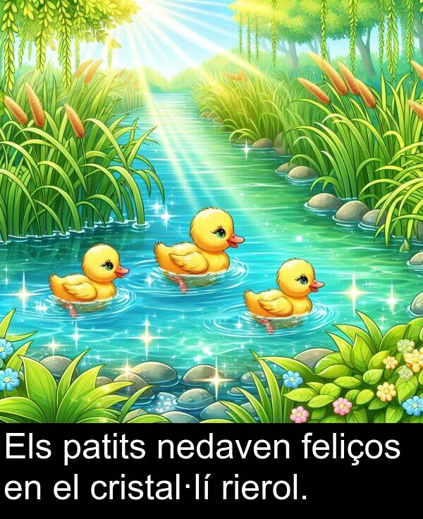feliços: Els patits nedaven feliços en el cristal·lí rierol.