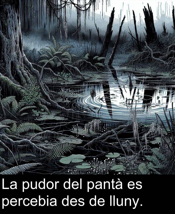 des: La pudor del pantà es percebia des de lluny.