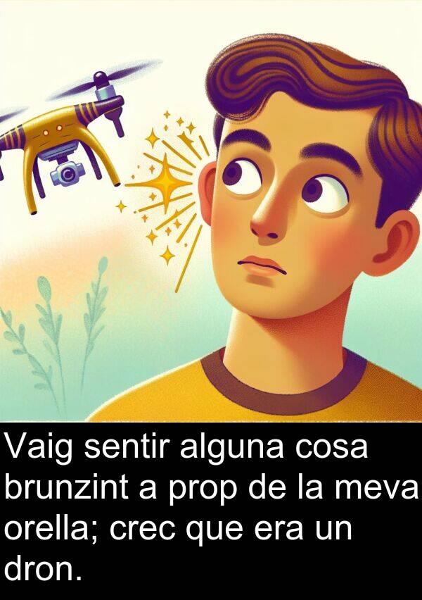 cosa: Vaig sentir alguna cosa brunzint a prop de la meva orella; crec que era un dron.