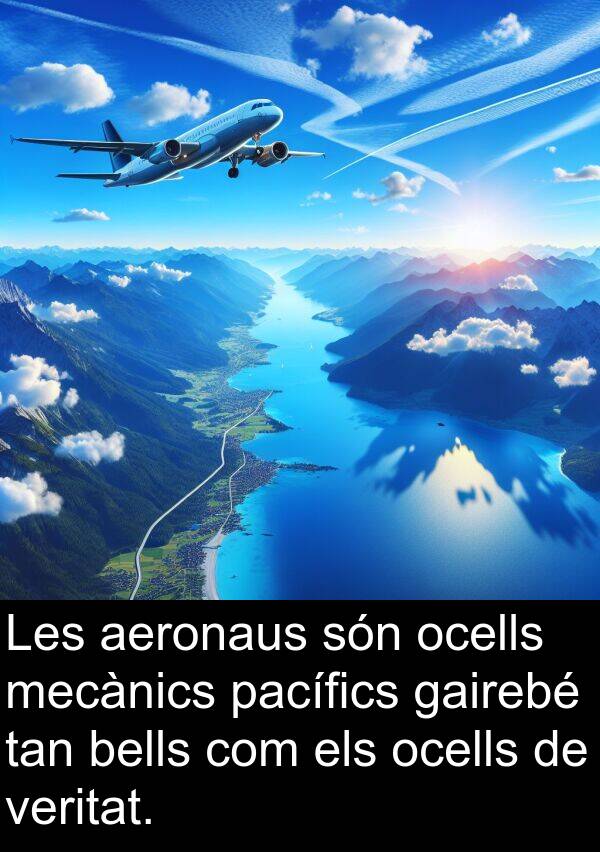 veritat: Les aeronaus són ocells mecànics pacífics gairebé tan bells com els ocells de veritat.