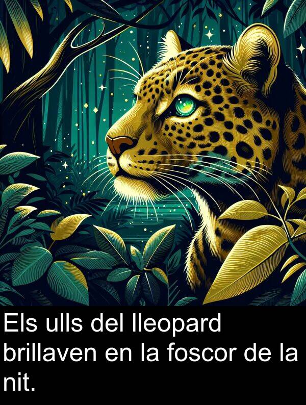lleopard: Els ulls del lleopard brillaven en la foscor de la nit.