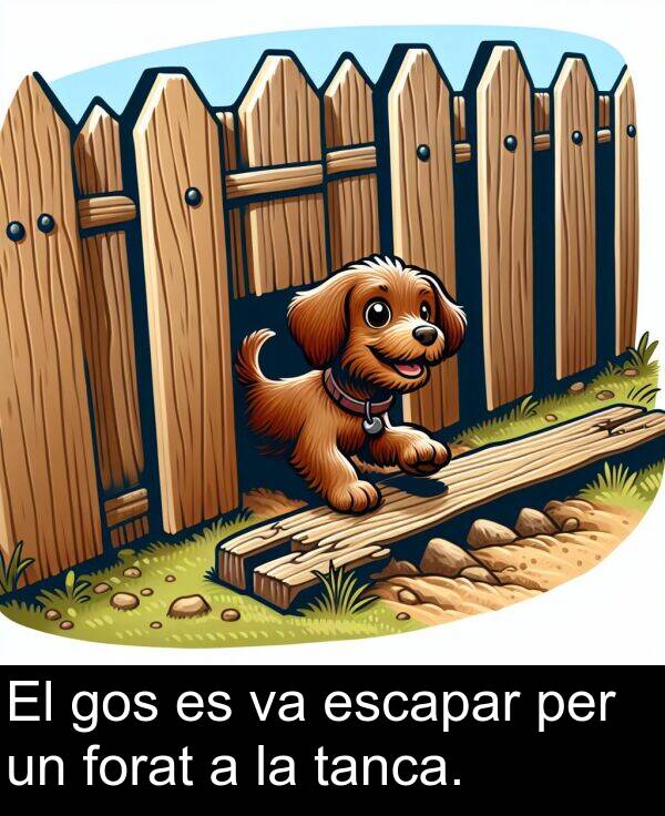 forat: El gos es va escapar per un forat a la tanca.