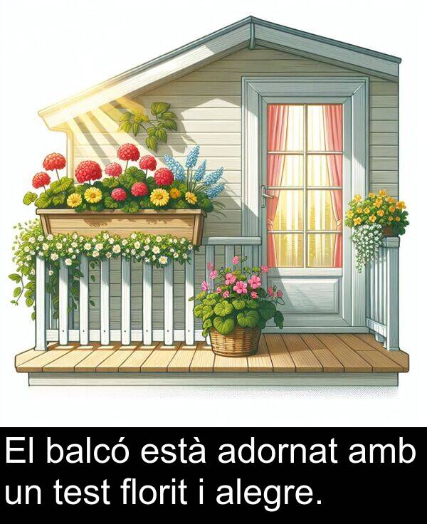 està: El balcó està adornat amb un test florit i alegre.