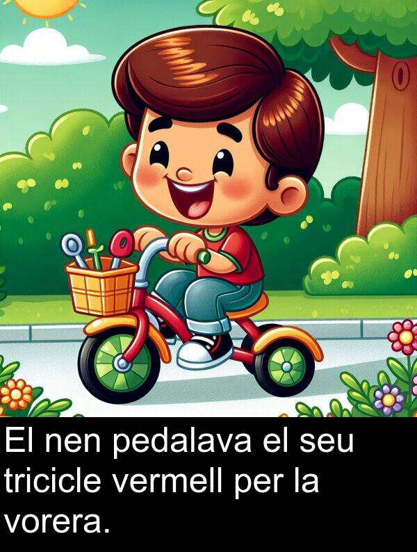 pedalava: El nen pedalava el seu tricicle vermell per la vorera.