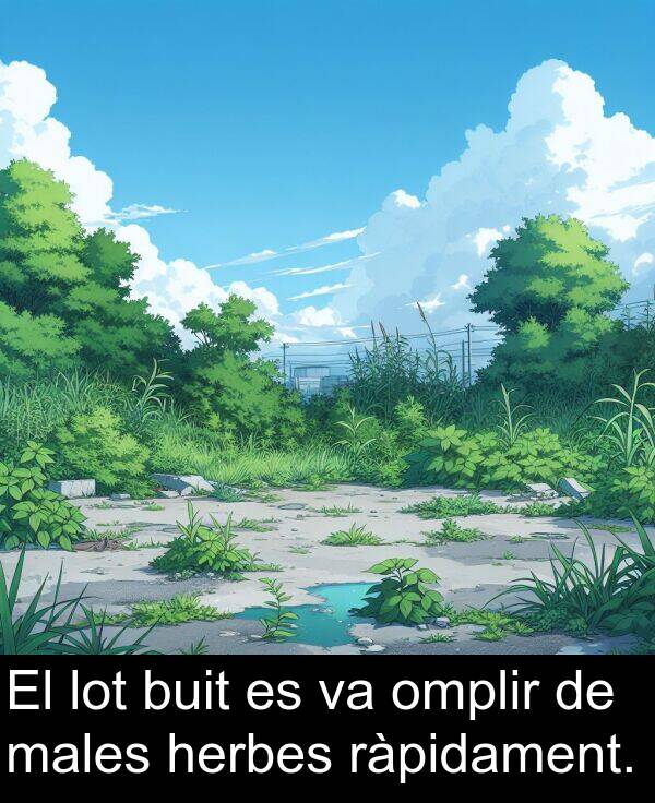 herbes: El lot buit es va omplir de males herbes ràpidament.