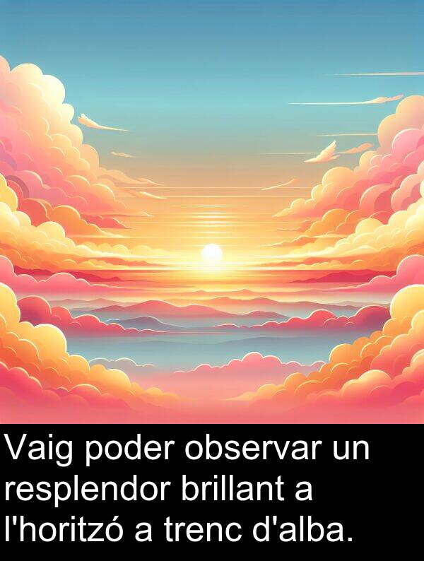 observar: Vaig poder observar un resplendor brillant a l'horitzó a trenc d'alba.