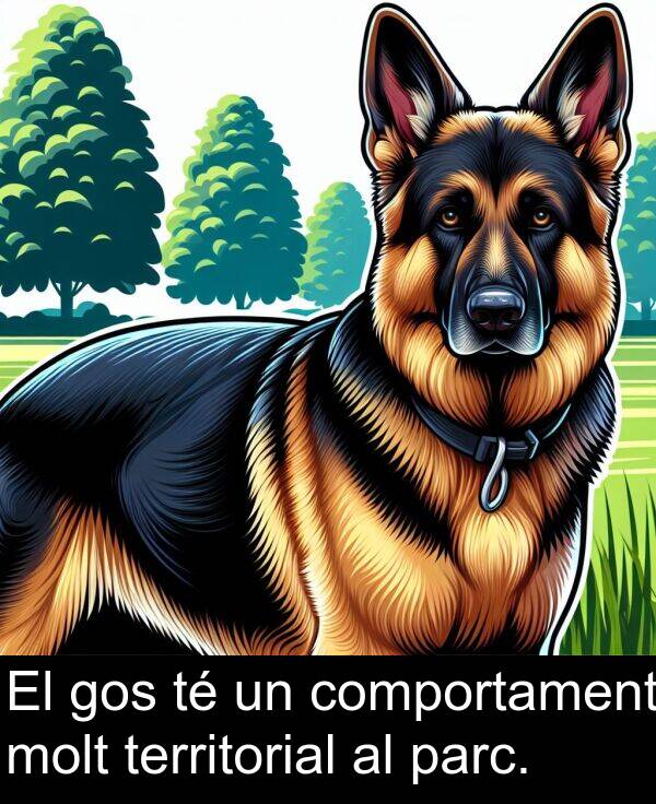 territorial: El gos té un comportament molt territorial al parc.