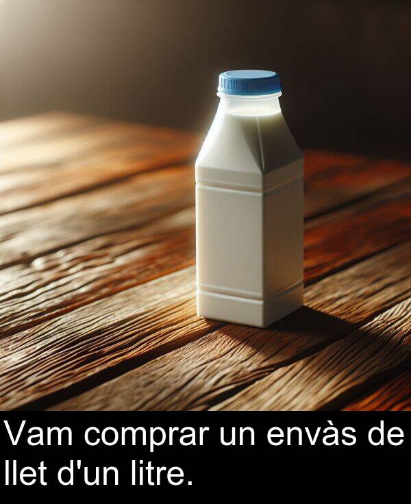 envàs: Vam comprar un envàs de llet d'un litre.