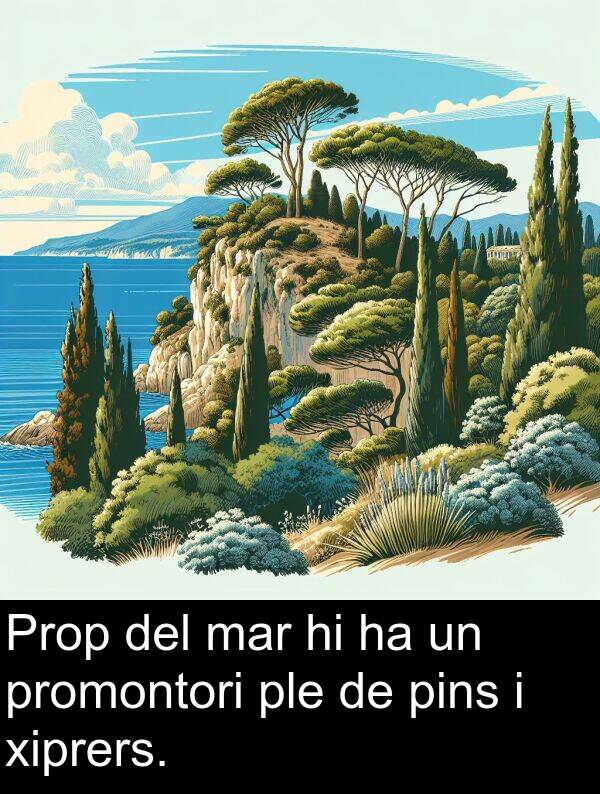 xiprers: Prop del mar hi ha un promontori ple de pins i xiprers.
