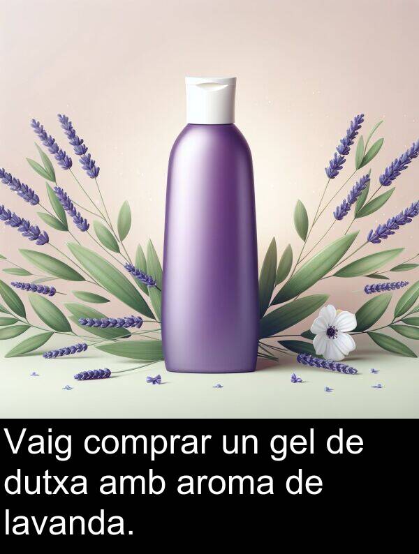 lavanda: Vaig comprar un gel de dutxa amb aroma de lavanda.