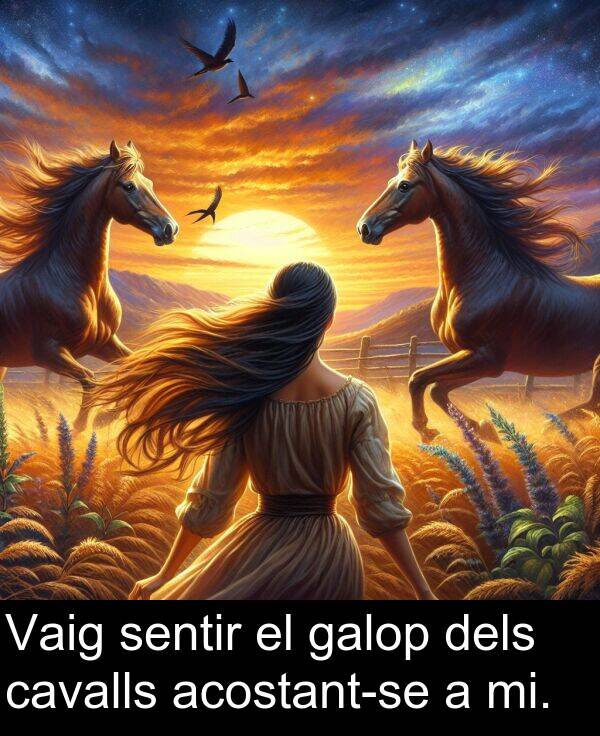 cavalls: Vaig sentir el galop dels cavalls acostant-se a mi.