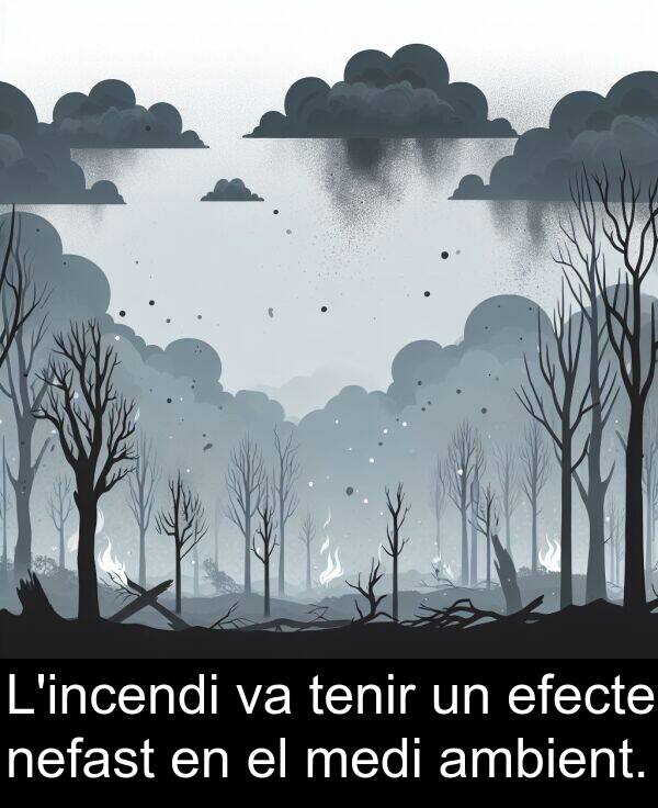 nefast: L'incendi va tenir un efecte nefast en el medi ambient.