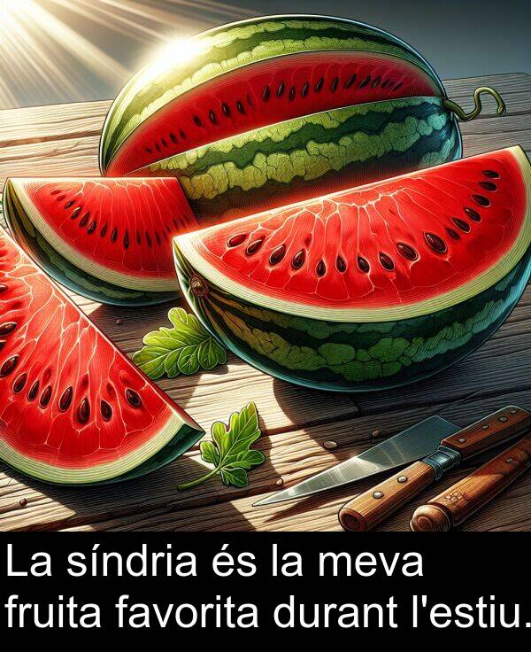 favorita: La síndria és la meva fruita favorita durant l'estiu.