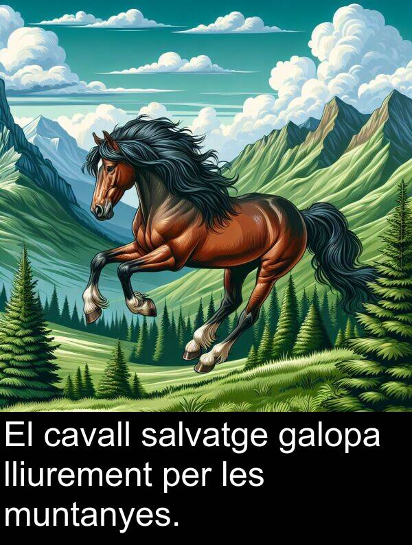 galopa: El cavall salvatge galopa lliurement per les muntanyes.