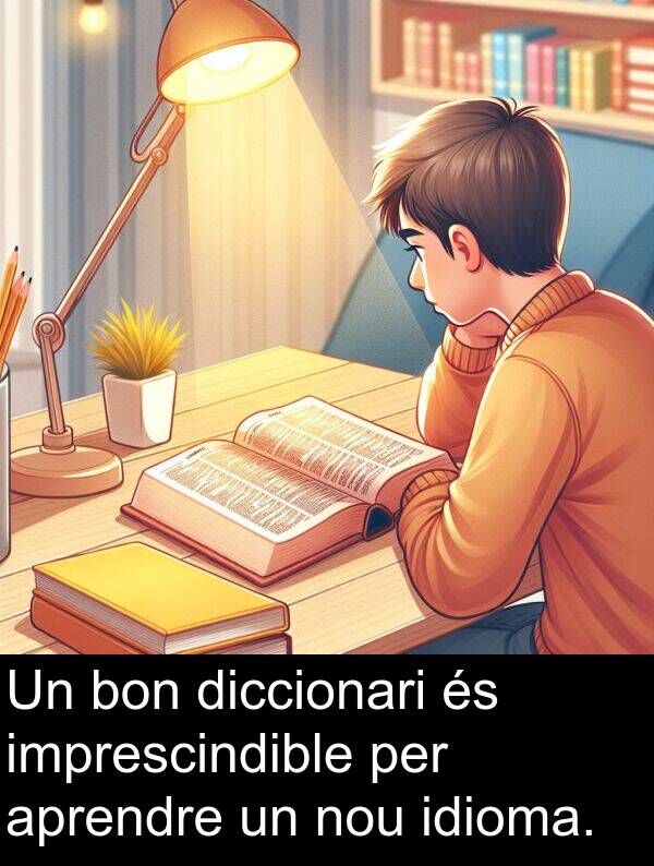 idioma: Un bon diccionari és imprescindible per aprendre un nou idioma.