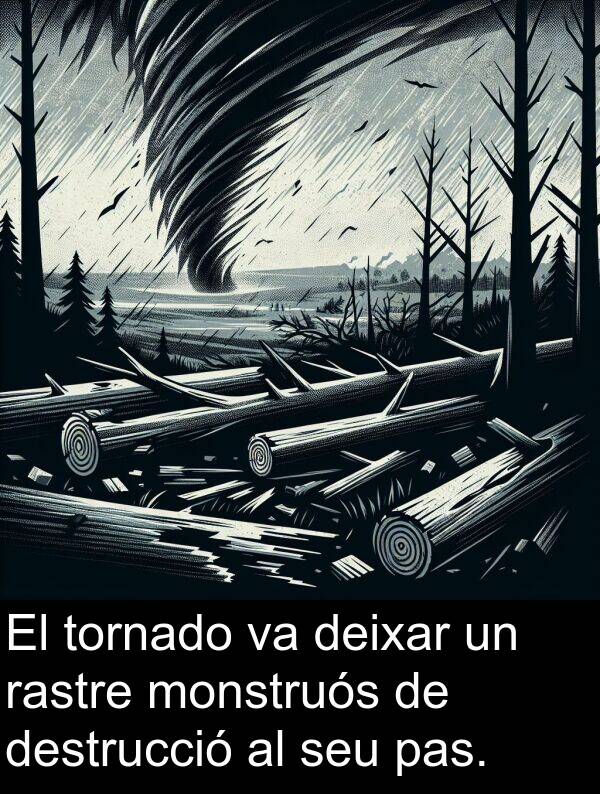 tornado: El tornado va deixar un rastre monstruós de destrucció al seu pas.