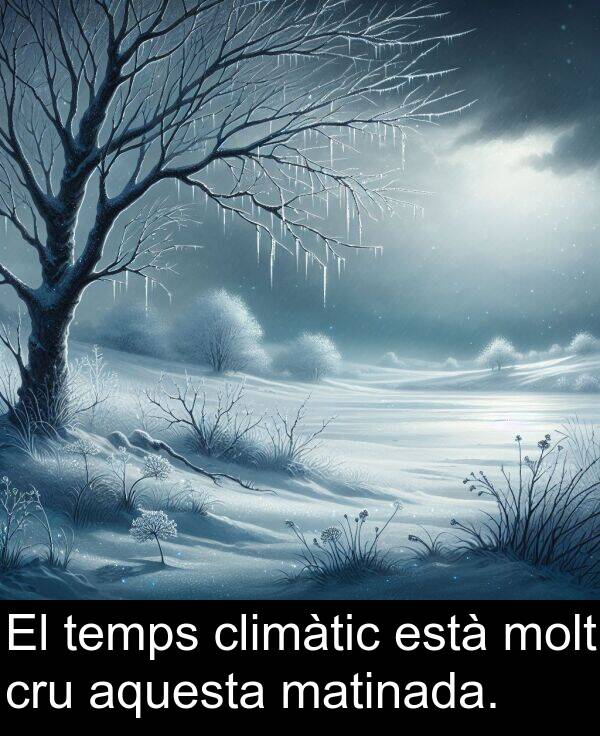 està: El temps climàtic està molt cru aquesta matinada.