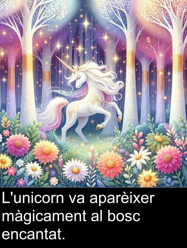 encantat: L'unicorn va aparèixer màgicament al bosc encantat.