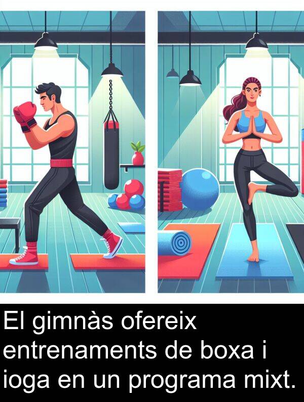 entrenaments: El gimnàs ofereix entrenaments de boxa i ioga en un programa mixt.
