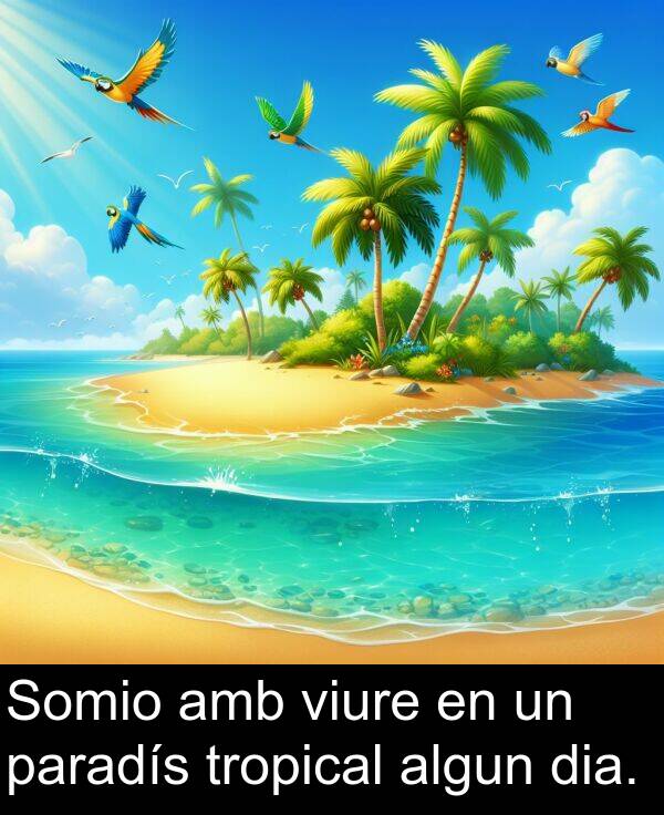 tropical: Somio amb viure en un paradís tropical algun dia.