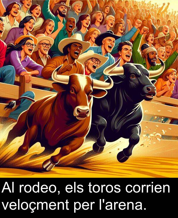 els: Al rodeo, els toros corrien veloçment per l'arena.