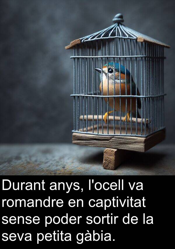 poder: Durant anys, l'ocell va romandre en captivitat sense poder sortir de la seva petita gàbia.