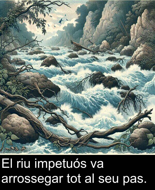 tot: El riu impetuós va arrossegar tot al seu pas.