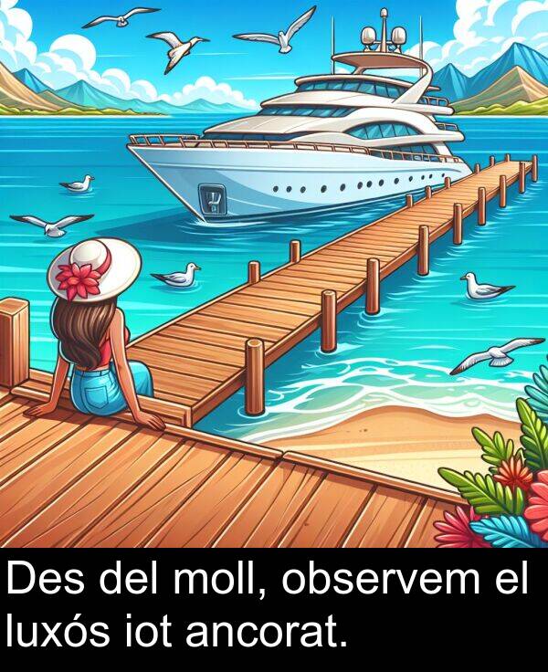 observem: Des del moll, observem el luxós iot ancorat.