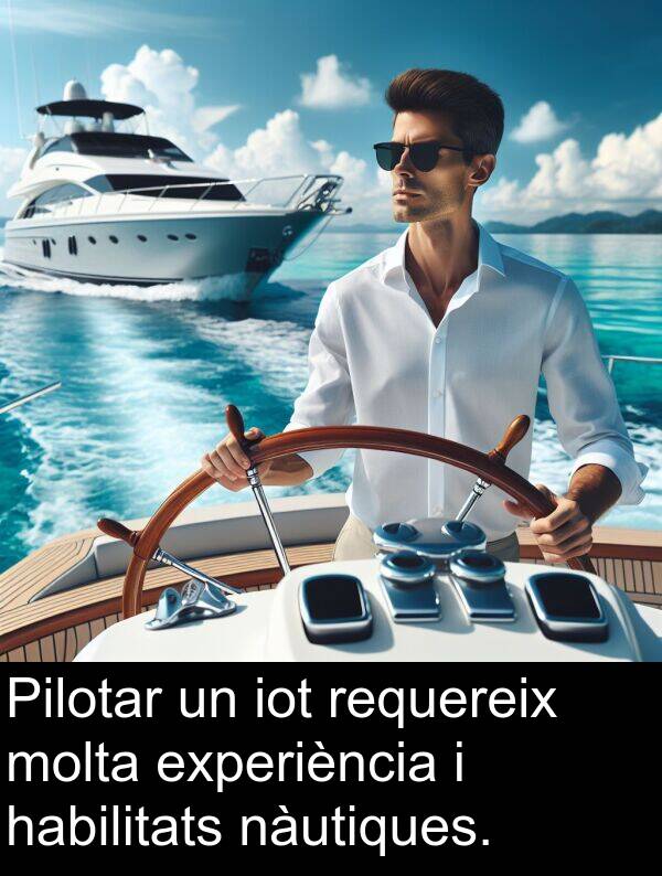 experiència: Pilotar un iot requereix molta experiència i habilitats nàutiques.