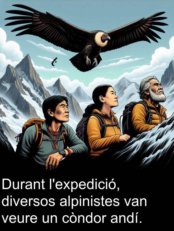 diversos: Durant l'expedició, diversos alpinistes van veure un còndor andí.