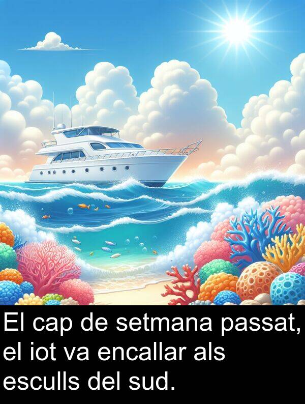 iot: El cap de setmana passat, el iot va encallar als esculls del sud.