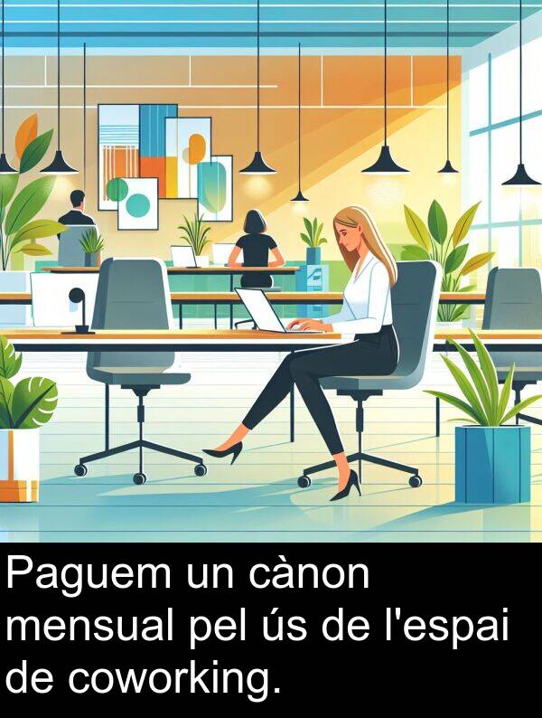 cànon: Paguem un cànon mensual pel ús de l'espai de coworking.